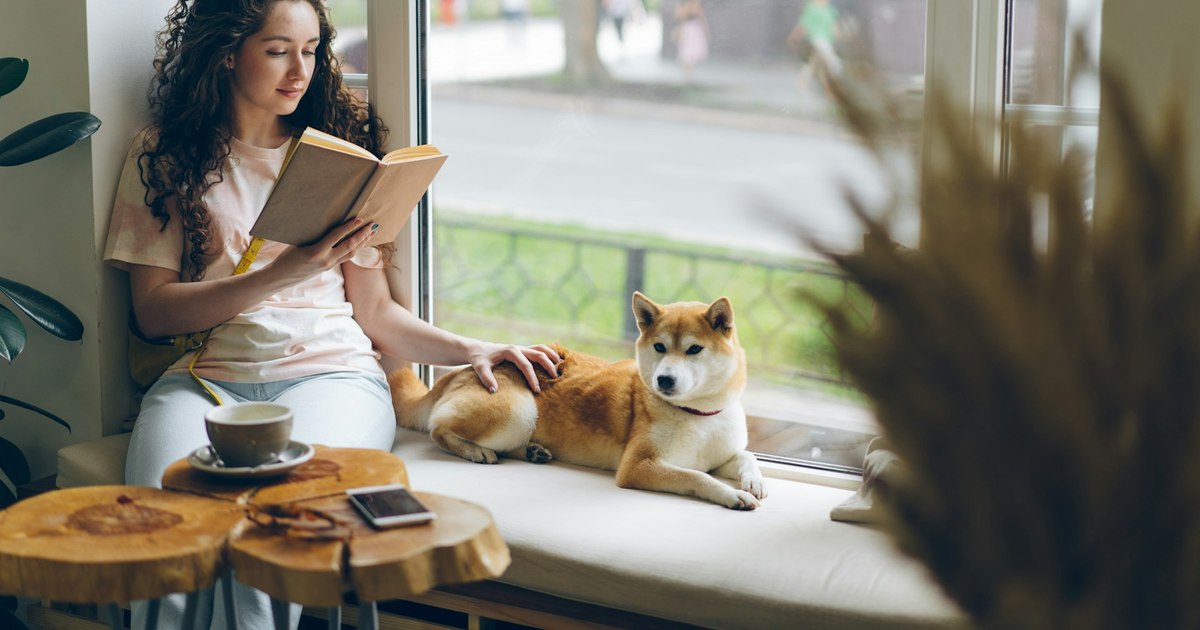 Scientists test longevity drug in dogs that could 'extend human life too'