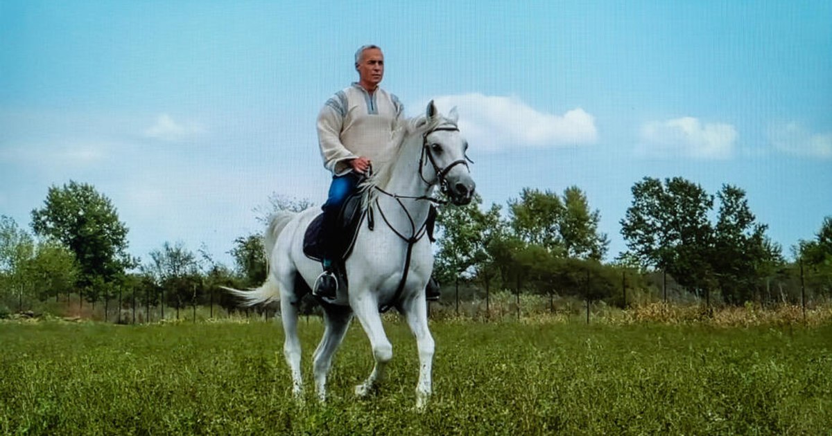 The horse farm in Ciolpani was quiet, a week away from the meeting between Georgescu, Potra and Sechila