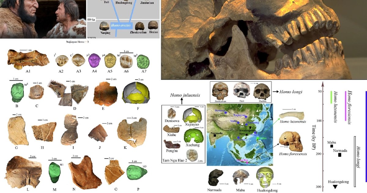 The mystery of the ancestors with gigantic heads and brains - the Julurens. Discovery of an 'extinct' species that changes history