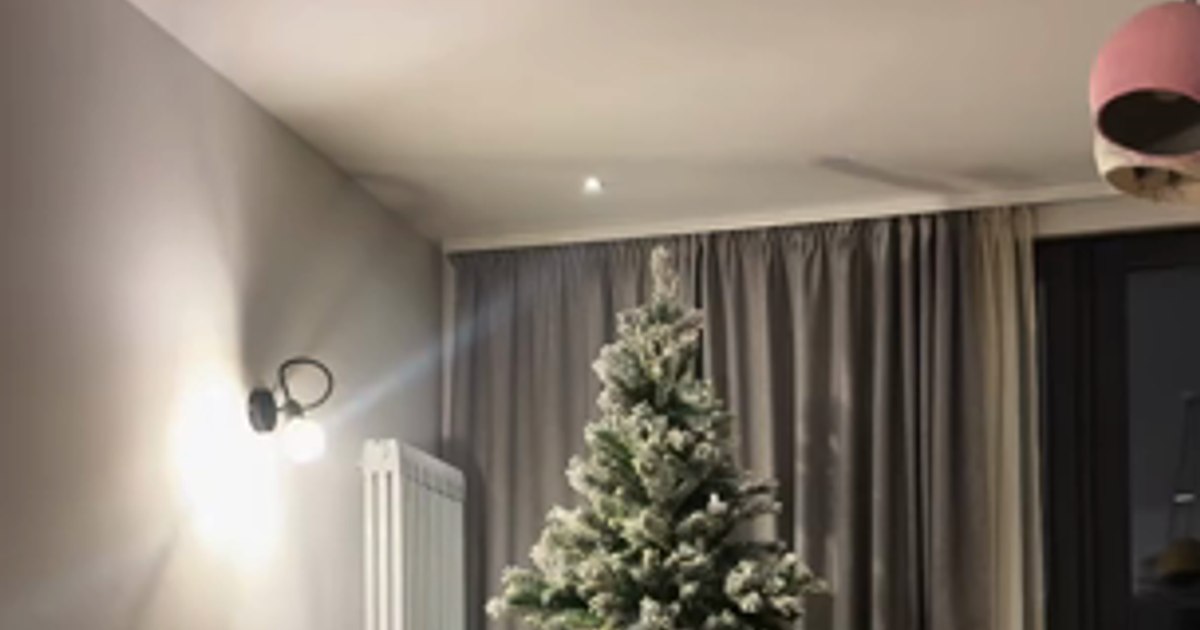 Video Alexia Eram decorated her Christmas tree with baubles in the shape of French fries, mustard and ketchup. how it looks