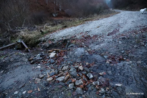 The road between Runcu Mare and Vadu Dobrii Photo Daniel Guță THE TRUTH (32) JPG