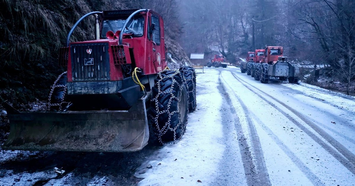 Video The paradox of mountain villages in western Romania. They are engulfed by forests, but isolated due to logging