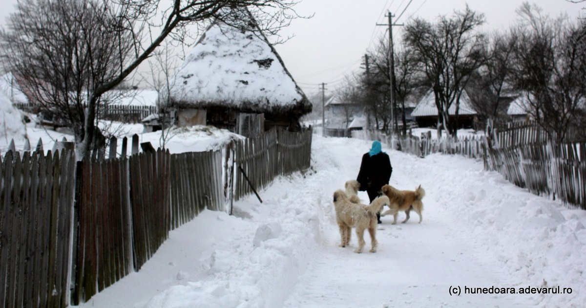 Why are so many Romanians forgotten by their own children? Disturbing answers given by young people: "Not all are gentle angels"