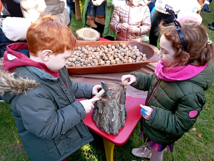 Activities in the yard PHOTO Cosmin Zamfirache