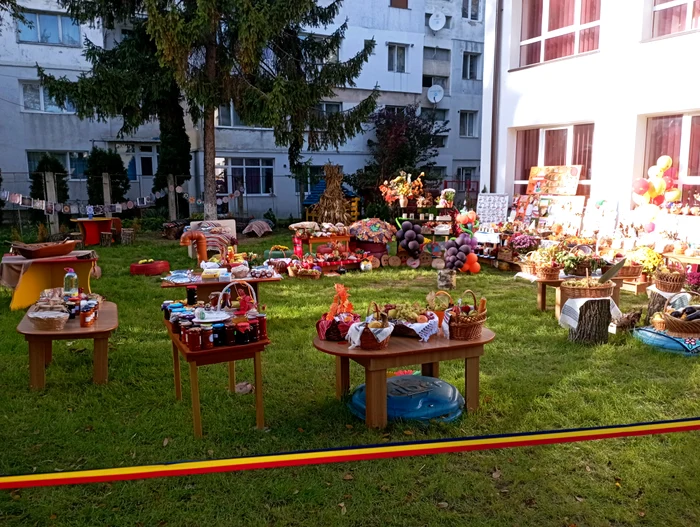 The garden of peace and relaxation PHOTO Cosmin Zamfirache