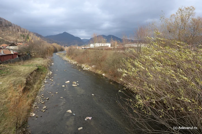 Jiu River, Dâlja area, Petroșani. Photo: Daniel Guță