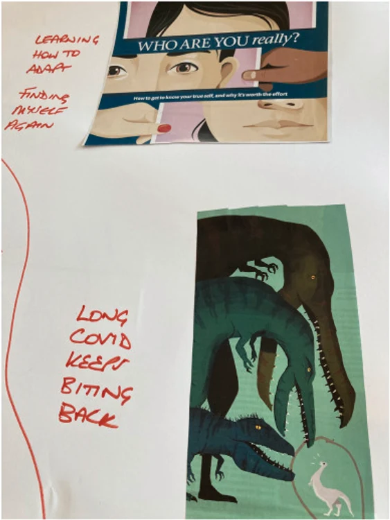 Body map. Source: sciencedirect.com