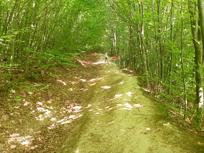 To the cave of St. Onufrio on a summer day PHOTO Cosmin Zamfirache