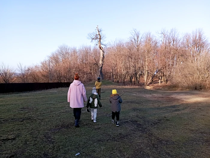 To the forests of the outlaws from Holm PHOTO Cosmin Zamfirache