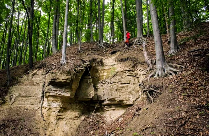 On the limestone massifs PHOTO Ionuț Haidău