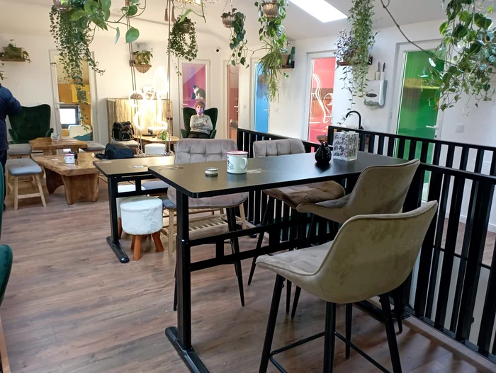 Cafe with cats PHOTO Cosmin Zamfirache