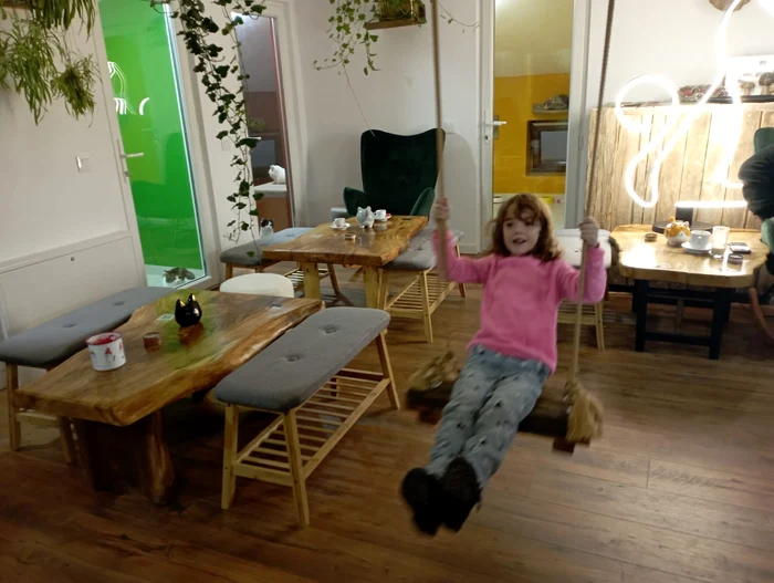 Children have fun in the cafe with cats PHOTO Cosmin Zamfirache