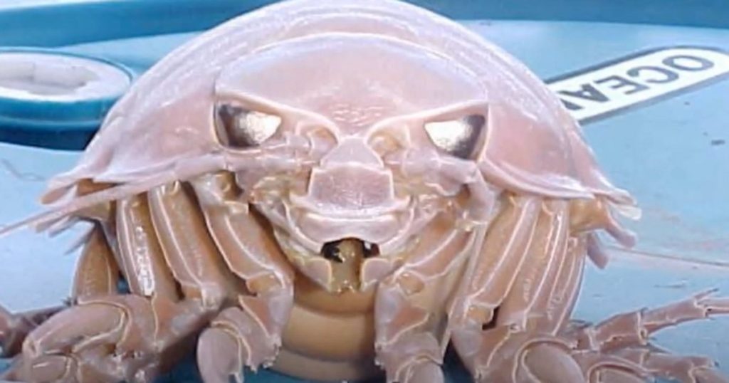 Darth Vader, discovered near the Spratly Islands near Vietnam