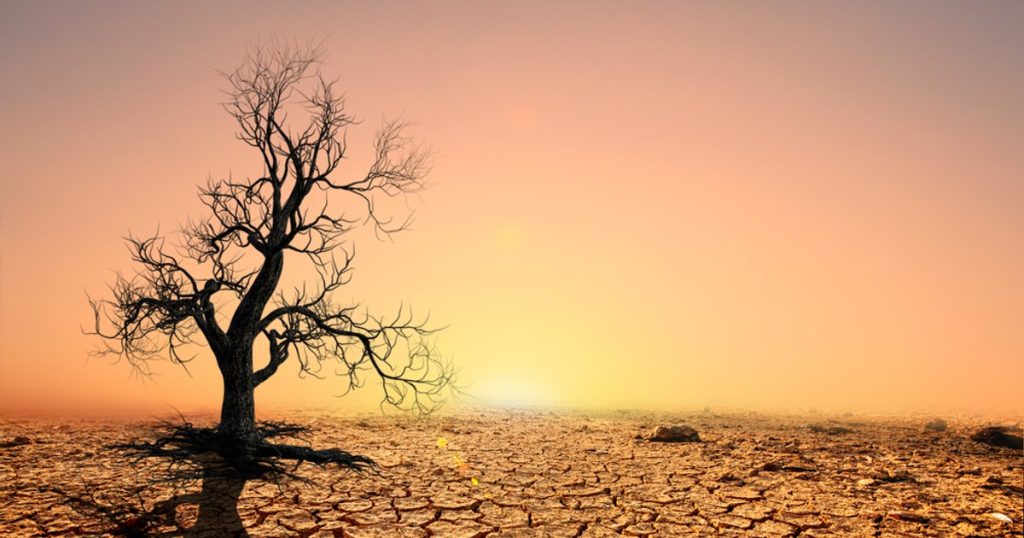 The first year in which the global warming threshold of 1.5 degrees Celsius was exceeded. "Every year of the rest of your life will be the warmest"