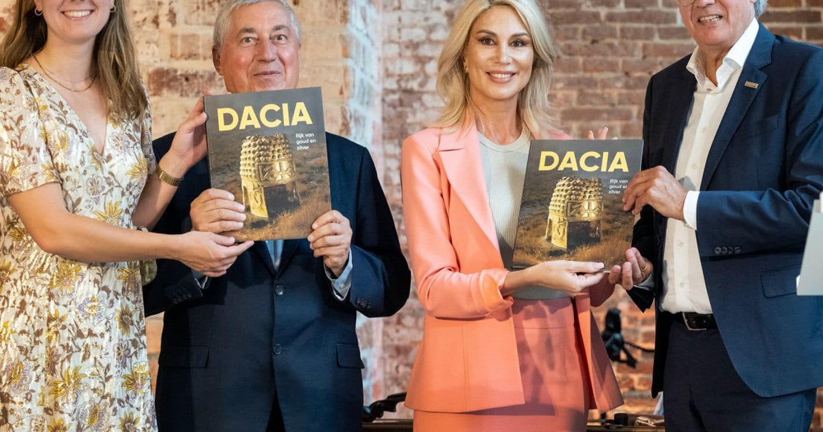 The former Minister of Culture is waiting for the Dutch to catch the thieves: "they have a duty to identify thieves and to render Romania the stolen treasure pieces"