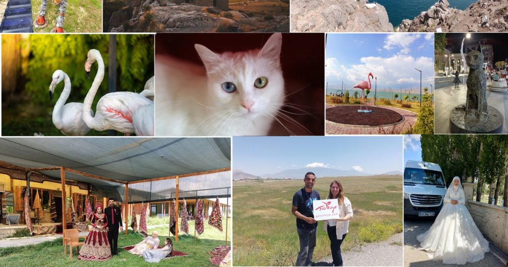 Video Turkey's Dead Sea: lost civilizations, spectacular animals and fascinating legends, on the Silk Road