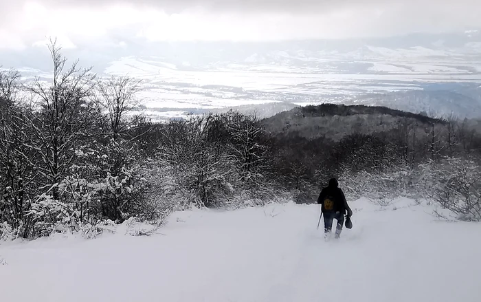 Winter landscape in the Șureanu Mountains. Photo: Daniel Guță