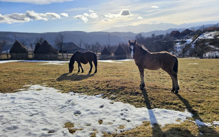 Rural landscape on Via Transilvanica. Photo: Daniel Guță. TRUTH