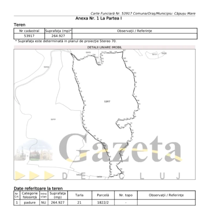 The CF that presents the delimitation of Potra's forest in Cluj. Photo: Gazeta de Cluj