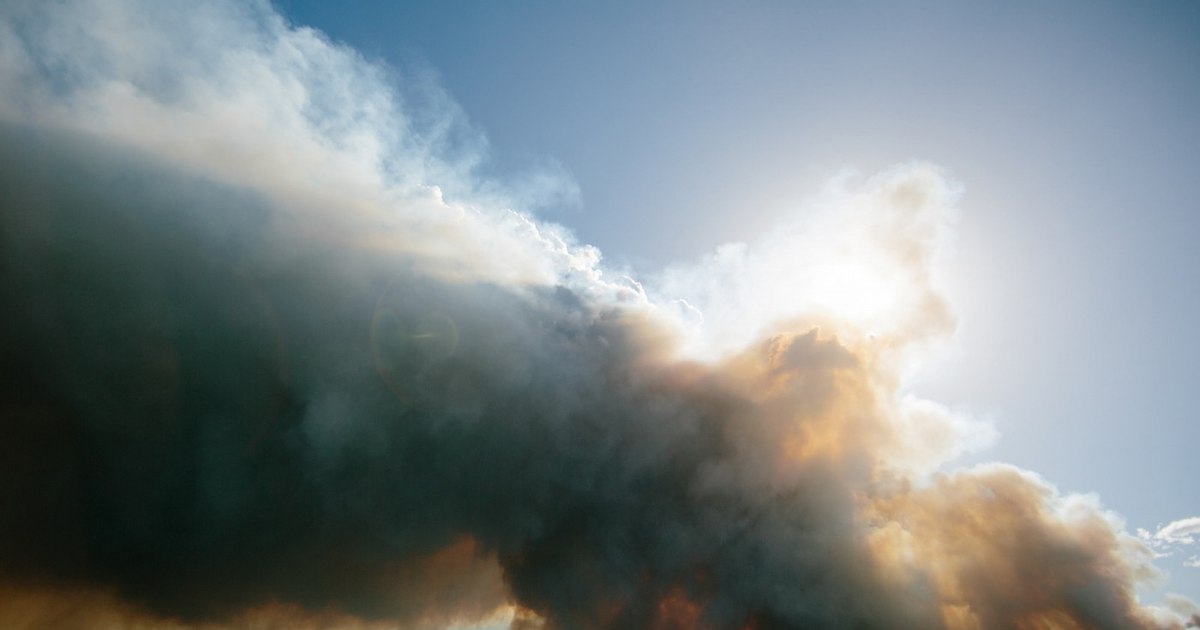 How does fire smoke affect brain health? Alarming discoveries