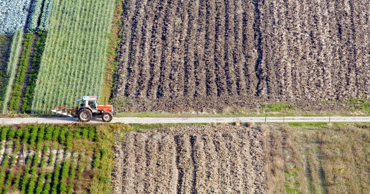 How serious are the effects of pesticides on nature. We risk a new extinction, warns the specialists