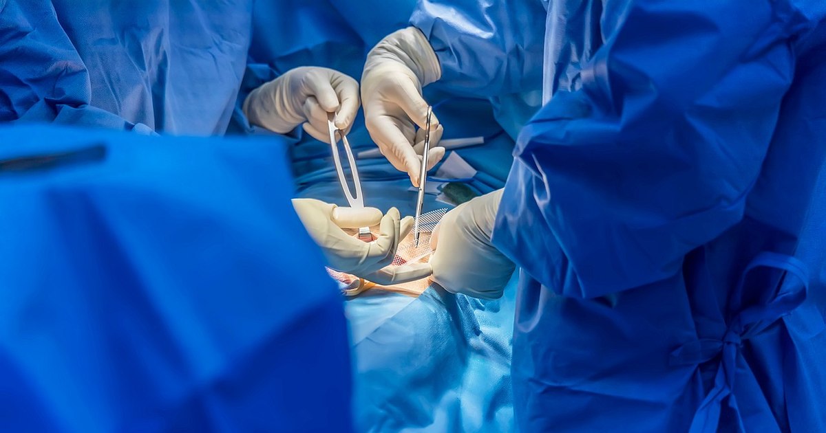 Medical Premiere: Woman healed after the first liver transplant for advanced intestinal cancer