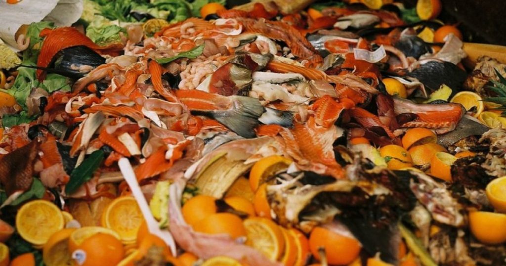 The Z generation and millennials throw food before they break down. Methods of checking the freshness