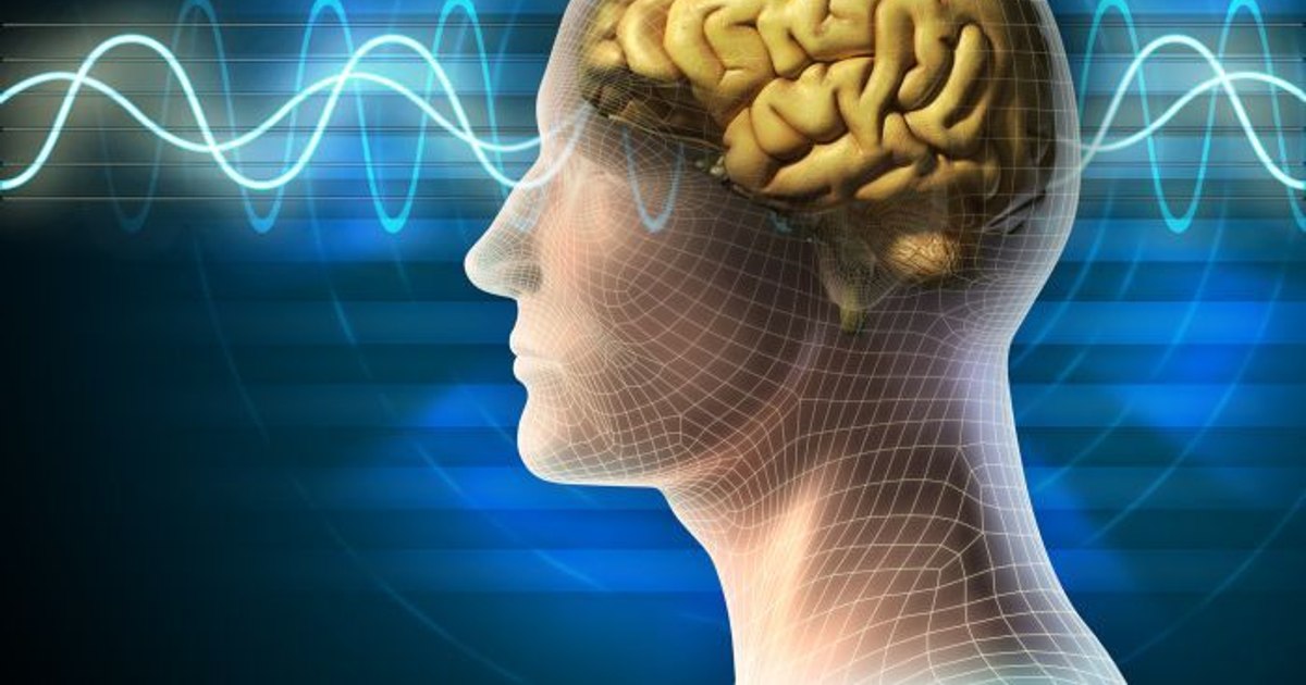 The cells of the brain that tell you not to eat anymore. Researcher: "Neurons follow each bite, I can feel food in the mouth and intestine"