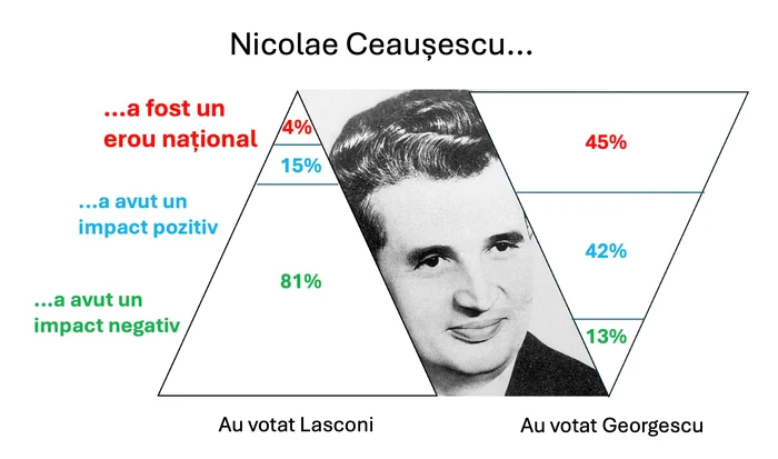 Graphic made on the basis of a diaspora survey. Photo: Digital Frappe/Via Daniel Enescu