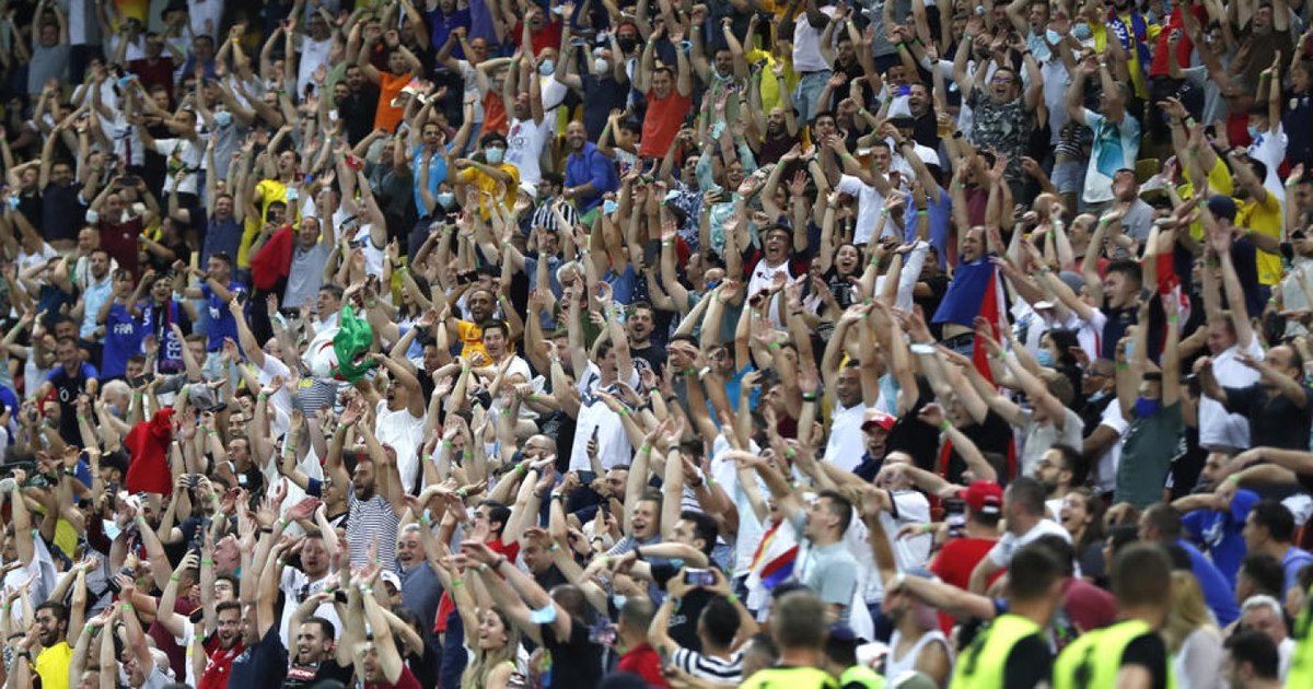 The national supporters, called to fill the national arena. How much is the tickets to the match with Bosnia