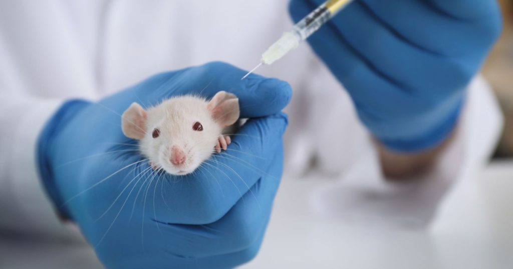 The list of the most dangerous infectious diseases that could put humanity in danger was updated