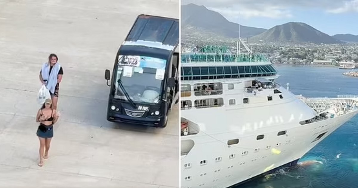 Delayed tourists, left in the port in the applause and whistles of the passengers on the cruise ship. The moment has gone viral