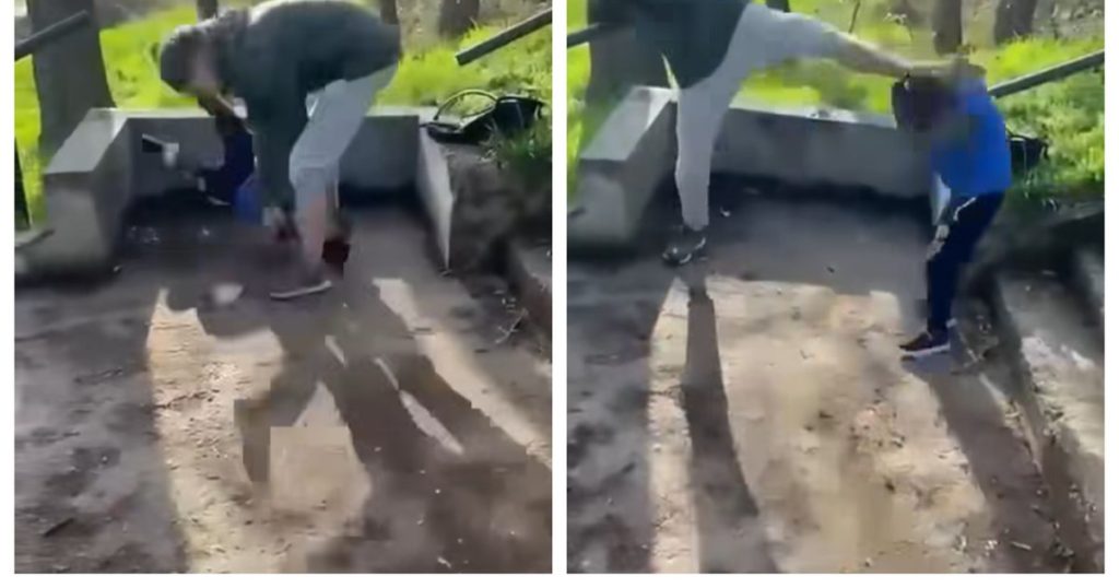 Extreme violence in Bihor: little boy filmed while he is beaten by a teenager. The aggressor was detained by the police