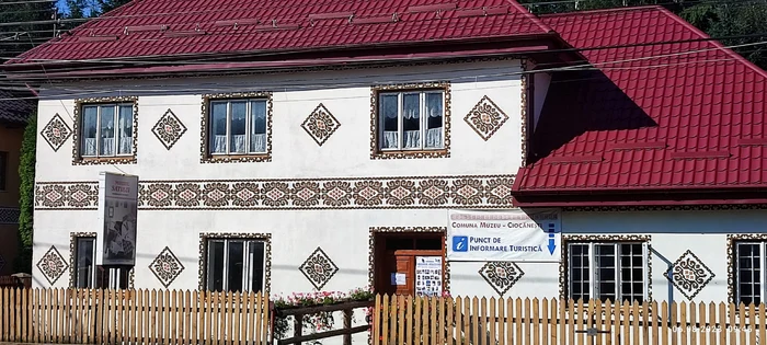 Painted houses from Ciocănești Suceava Photo Elena Costaichilă