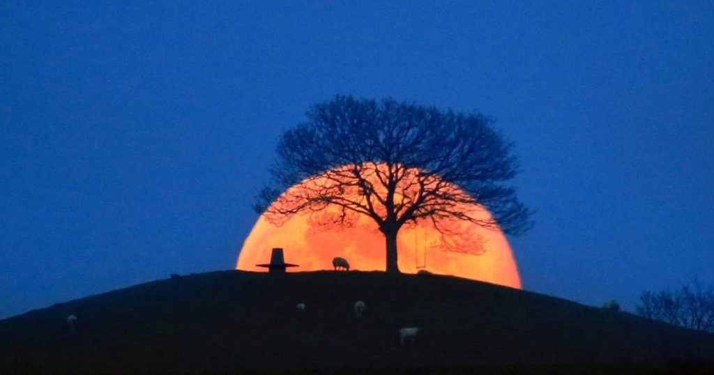 The "pink moon" shines on the sky of Romania this weekend. What is the ideal time to be observed