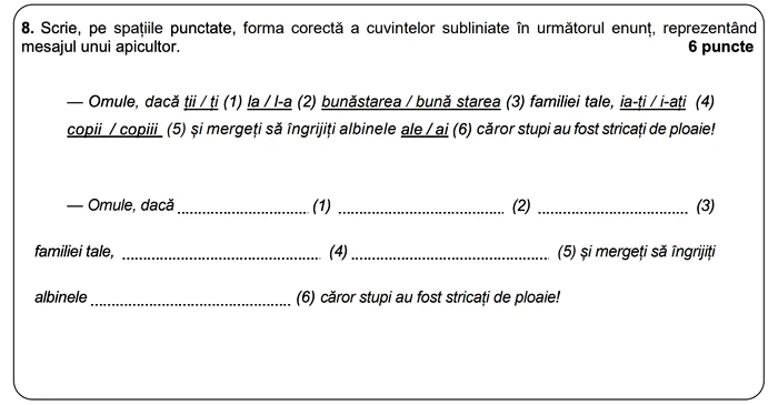 Subject IB - 8 Simulation Romanian Language National Assessment. Photo: Ministry of Education
