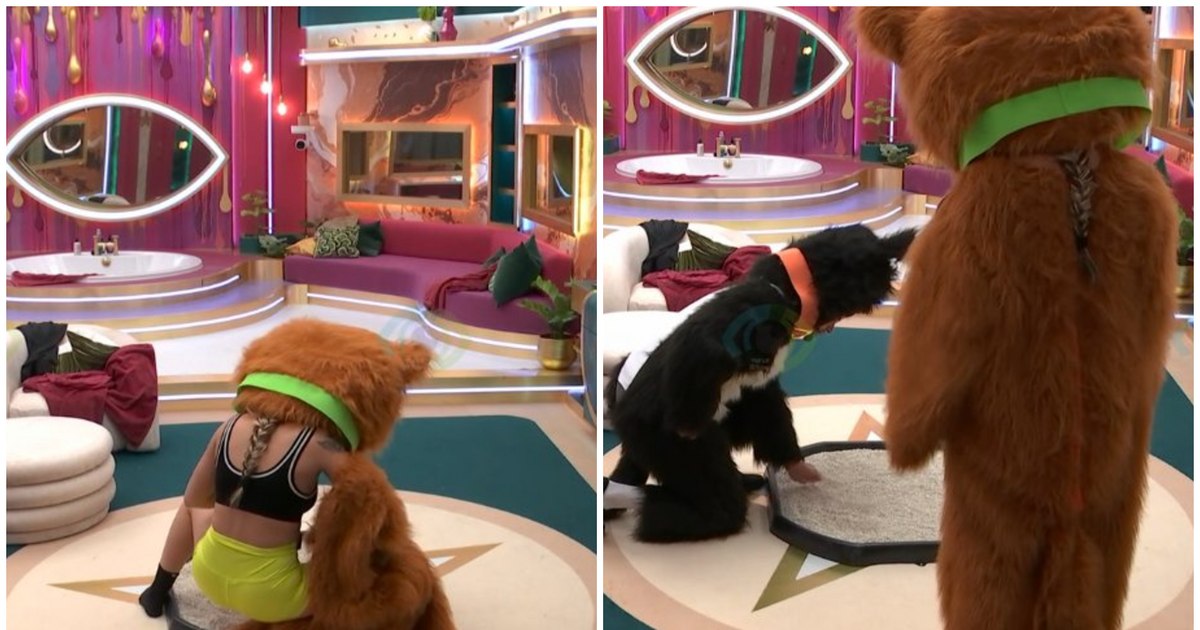 Video shocking images at the Big Brother of the Celers. Competitors dressed in animals, put to urinate at the litter. The fans, scratched: "We can't follow something like this"