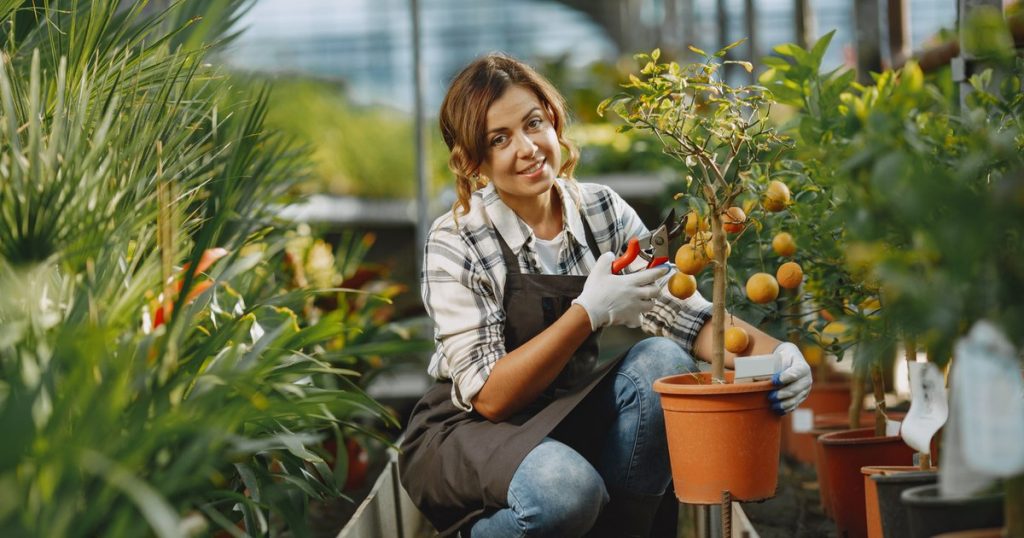 How we turn the yard into an ecological garden. Guide to specialists to start a bio culture