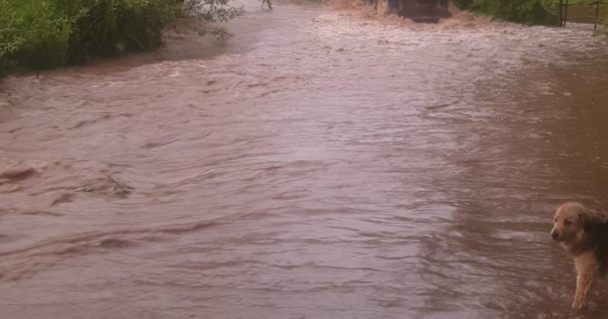 Imminent flood on Prut: Authorities, on maximum alert: the evacuations began