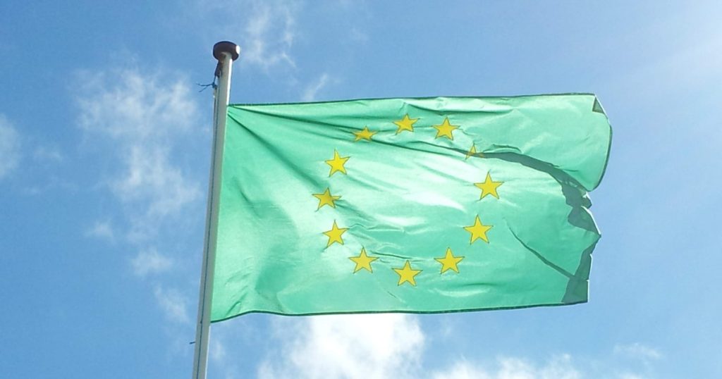 The European green supports Nicuşor Dan in the second round of the presidential elections