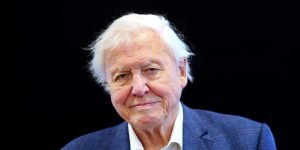 David Attenborough turned 100 years old. “The Greatest Ambassador of Life on Earth”