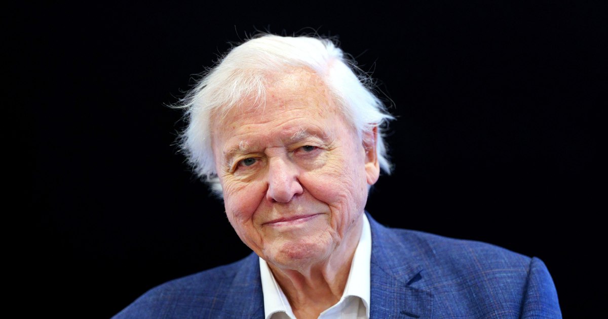Video David Attenborough, exciting confession about "approaching the end of life" in a disturbing statement