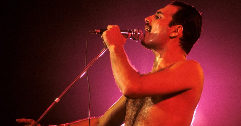 Video Freddie Mercury had a secret daughter. The mystery, revealed in a biography: "I had a close and loveful relationship, adored me"