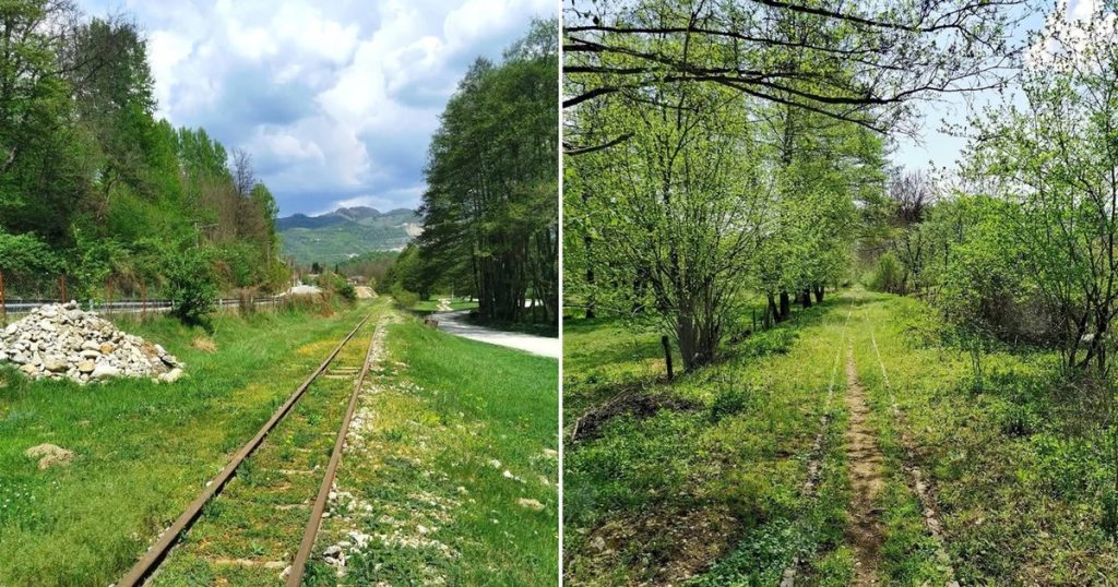 Video Mocănița Olteneas: the legendary train that could become the only attraction of its kind south of the Carpathians. "The Mocănițele of Romania"