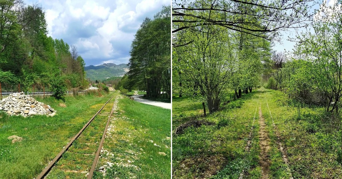 Video Mocănița Olteneas: the legendary train that could become the only attraction of its kind south of the Carpathians. "The Mocănițele of Romania"