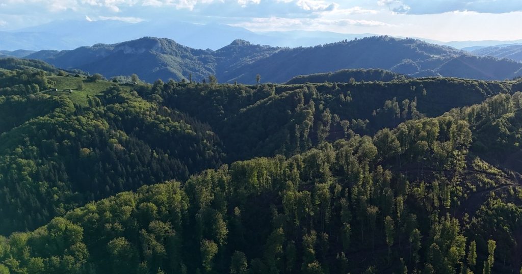 Video amazing discoveries in the heart of the Șureanu Mountains. Mysterious place where the Dacian sheepfolds came to light after two millennia