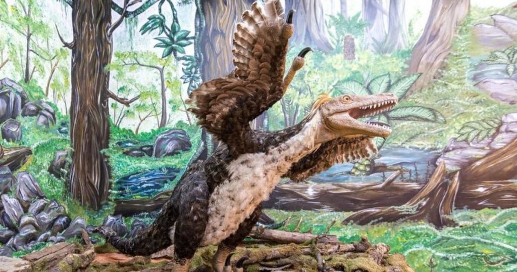 Video the lost world of dwarf dinosaurs in Romania. The discoveries that amazed the scientists