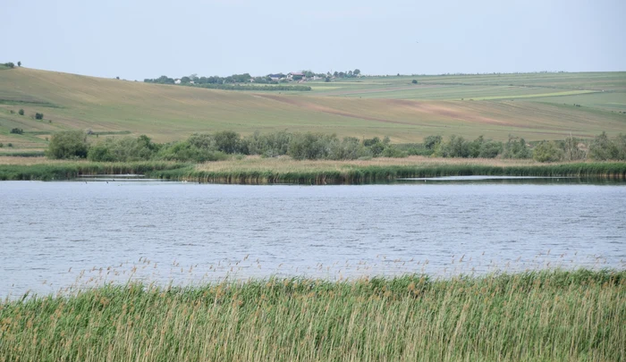Botosani ponds are picturesque photo ananp