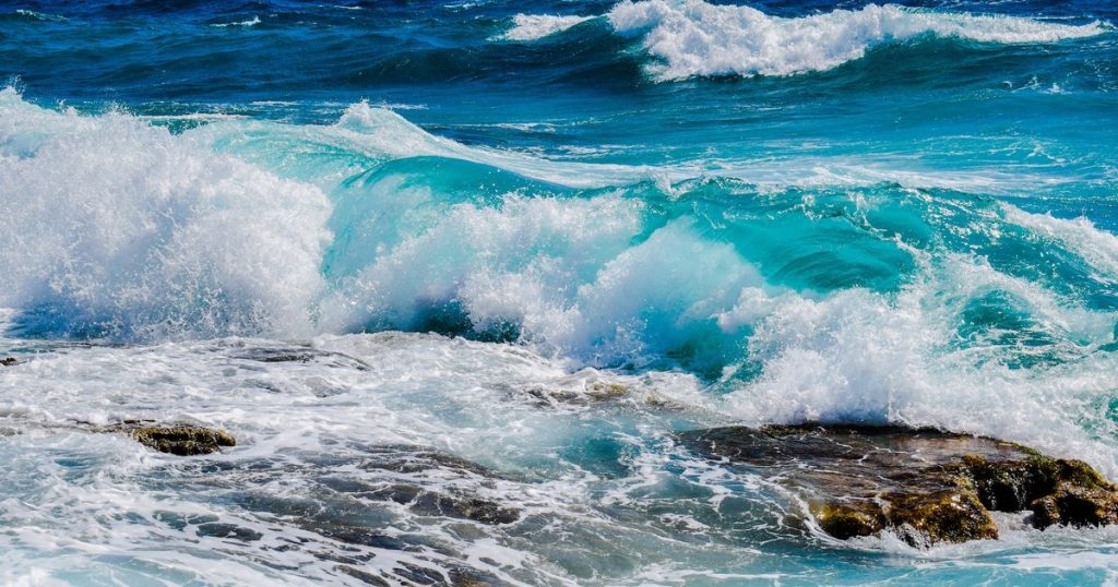 "A clock bomb." The acidity of the seas has reached critical levels and threatens whole ecosystems, a new study shows