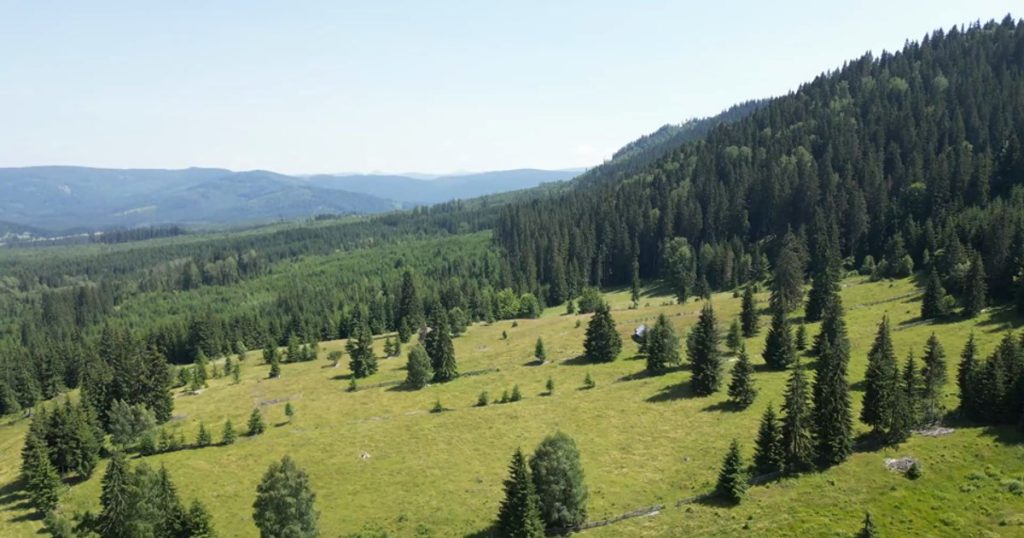 Bilbor & Toplița - Corners of peace for a perfect summer